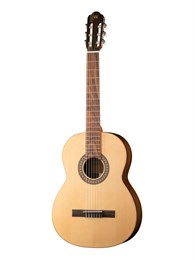 Newtone SCCLASNRW Soloist 