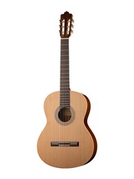 Prodipe JMFRECITAL200 Классическая гитара Recital 200 4/4 JMFRECITAL200