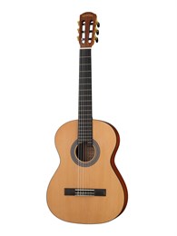 Cascha CGC200-3/4 Stage Series Классическая гитара 3/4, с чехлом CGC200-3/4