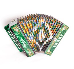 Шуйская Гармонь S6XLY-A-GR Гармонь 