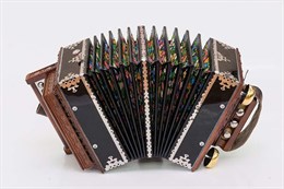 Саратовская Гармоника SG10-DK Саратовская гармонь 10 клавиш, ре SG10-DK