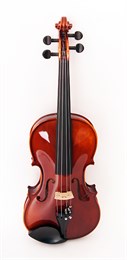 Strunal 193wA-4/4 Скрипка концертная 193wA-4/4
