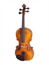 Strunal 176-4/4 Скрипка концертная 4/4 176-4/4