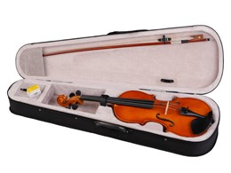 Foix FVP-01A-4/4 Скрипка студенческая 4/4, с футляром и смычком FVP-01A-4/4