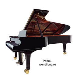Wendl&Lung VG278BK Рояль акустический, черный VG278BK