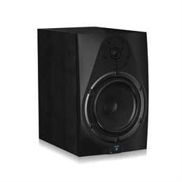 Icon DT-8S Студийный монитор DT-8S