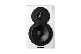 Dynaudio LYD 5 B/W Студийный монитор LYD 5 B/W