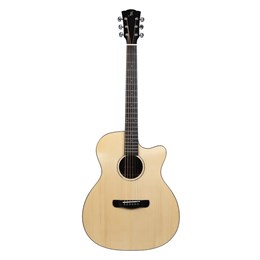 Meridaextrema DG-20BWCS гитара акустическая с чехлом DG-20BWCS