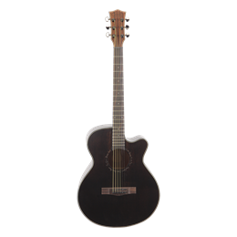SQOE SQ-EC-FGS гитара акустическая SQ-EC-FGS