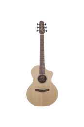 Covenant 180M гитара акустическая с чехлом 180