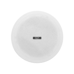 ZTX Audio KS-832 громкоговоритель потолочный коаксиальный 20-30W KS-832