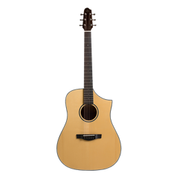 Covenant 150DV гитара акустическая с чехлом. 150-4