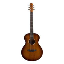 Covenant 160M гитара акустическая с чехлом 160-1