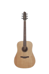 Covenant 170D гитара акустическая с чехлом 170