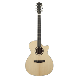 SQOE SQ-40B Set комплект: гитара, чехол, ремень, каподастр, медиаторы, салфетка, анкерный ключ SQ-40B Set