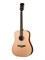Parkwood S21-GT Акустическая гитара, дредноут, с чехлом, глянец S21-GT
