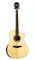 Parkwood GA680TAK-NAT Электроакустическая гитара, с вырезом, цвет натуральный GA680TAK-NAT