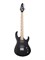 Inspector Phoenix-6-black Электрогитара, черная Phoenix-6-black