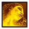 Pirastro 415091 Evah Gold Violin Комплект струн для скрипки (синтетика) 415091
