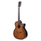 Meridaextrema PA43GAC-BT гитара акустическая с чехлом PA43GAC-BT