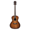 Meridaextrema PA33TV-SU гитара акустическая с чехлом PA33TV-SU