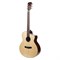 Meridaextrema DG-20RMCS гитара акустическая с чехлом DG-20RMCS
