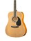 Homage LF-4110-N Акустическая гитара LF-4110-N
