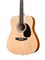 Homage LF-4100-N Акустическая гитара LF-4100-N