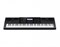 Синтезатор Casio WK-7600, 76 клавиш WK-7600
