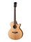Parkwood S27-GT Электроакустическая гитара, с вырезом, с чехлом, глянец S27-GT