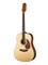 Naranda DG403N Акустическая гитара DG403N