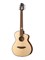 Mollo Guitar TM-12C Акустическая гитара, с чехлом TM-12C