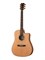 Kremona M20C Steel String Series Акустическая гитара, с вырезом M20C