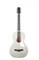 Godin 047956 Rialto JR Satina Gray HG Q-Discrete Электроакустическая гитара, с чехлом 047956