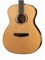 Cort Abstract-Delta-WCASE-NAT Masterpiece Series Электроакустическая гитара, с чехлом Abstract-Delta-WCASE-NAT