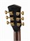 Cort Abstract-Delta-WCASE-NAT Masterpiece Series Электроакустическая гитара, с чехлом Abstract-Delta-WCASE-NAT