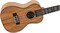 FLIGHT DUC450 MANGO - Укулеле концерт DUC450 MANGO