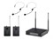 Soundsation WF-U2302PP Беспроводная микрофонная система, 2 головных микрофона WF-U2302PP