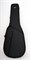 Lutner PCG Футляр-кейс для классич гитары PCG