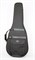 Lutner PDDG Футляр-кейс-ЛЮКС для акустической гитары PDDG