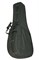 Caraya WD150 Футляр-кейс для гитары Дредноут WD150