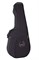 La Patrie 041411 Case TRIC Classic Folk Concert Hall Футляр-кейс для акустической гитары 041411