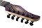 Schecter C-6 PRO ARB Элетрогитара C-6 PRO ARB (3630)