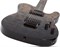 Schecter PT STANDARD BFBB Элетрогитара PT STANDARD BFBB (3955)