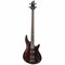 Schecter SGR C-4 BASS WSN Бас-гитара SGR C-4 BASS WSN (3849)