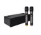 Foix TV32-BK Акустическая система, активная, 2 беспроводных микрофона TV32-BK