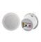 Ace Audio YC-301 Громкоговоритель потолочный, 1.5/3Вт YC-301
