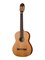Ortega R122G Family Series Классическая гитара 4/4, глянцевая, с чехлом R122G
