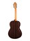 Alhambra 819-9P Classical Concert 9P Классическая гитара, с футляром 819-9P