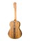 Alhambra 8.891V Classical Conservatory 6 White Ebony Классическая гитара 8.891V